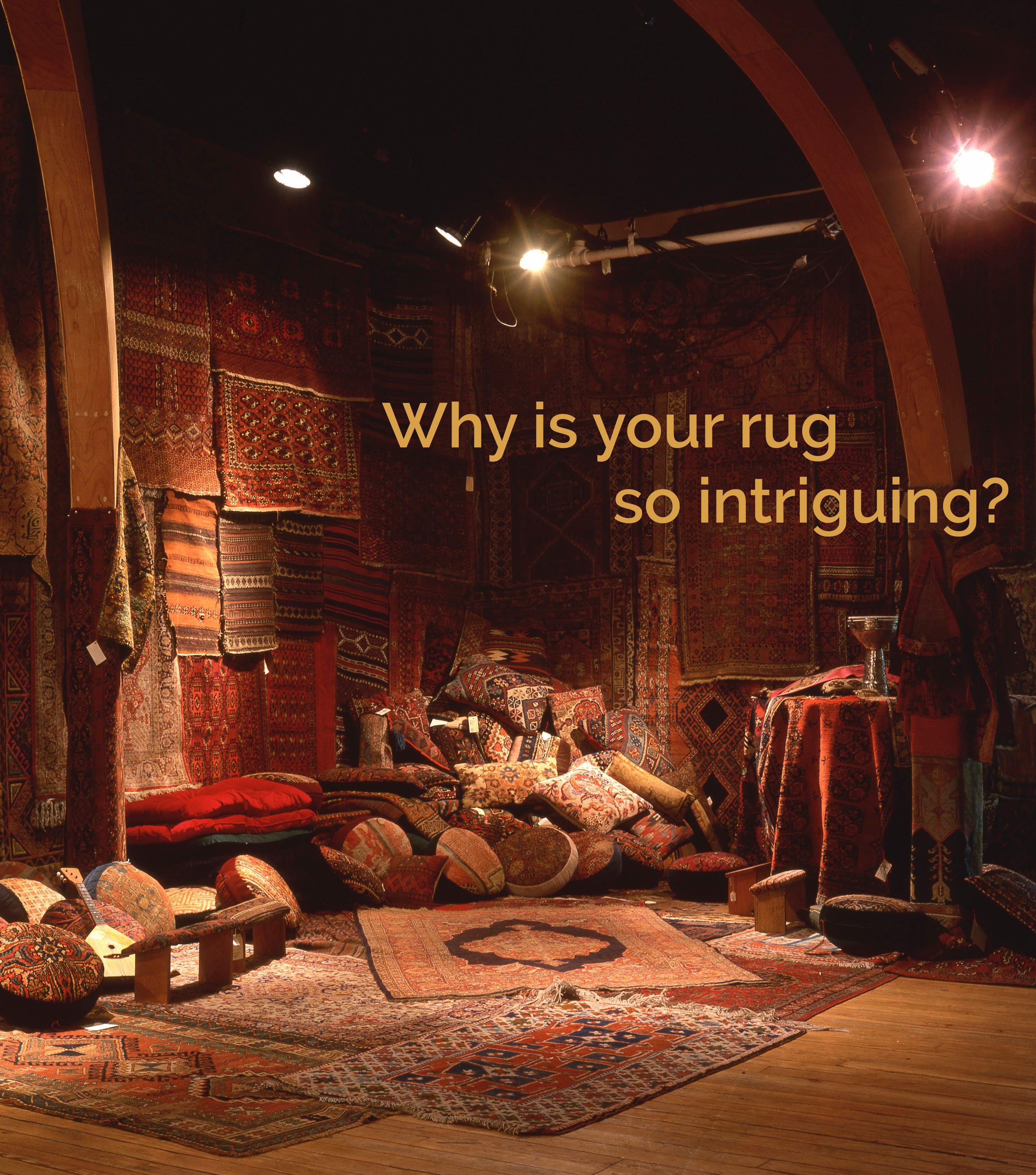 Why is your rug so intriguing?