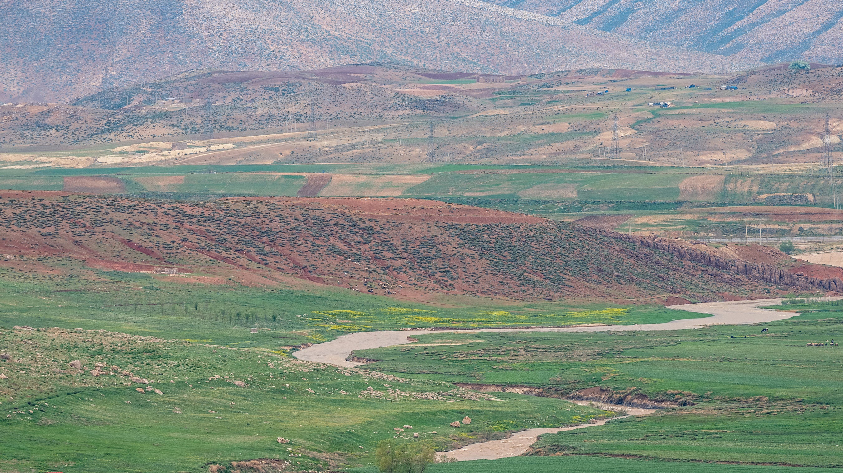 SOFREH of the Zagros