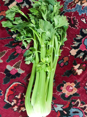 Khoresht Karafs (Persian Celery Stew)