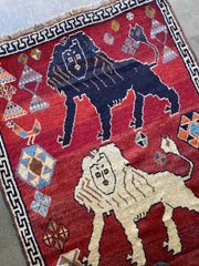 Premium Lion Rug 193x118cms