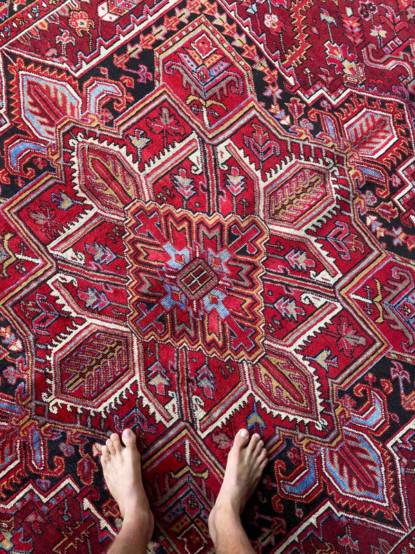 The Bangalow Rug Shops - Online Rug Shop - The Rug Shop