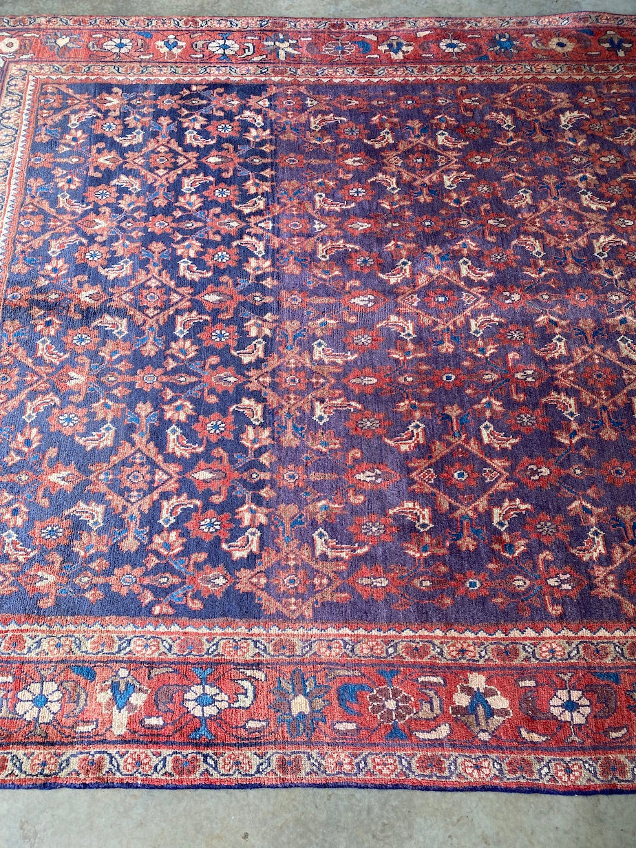 NW Persian 300x202cm