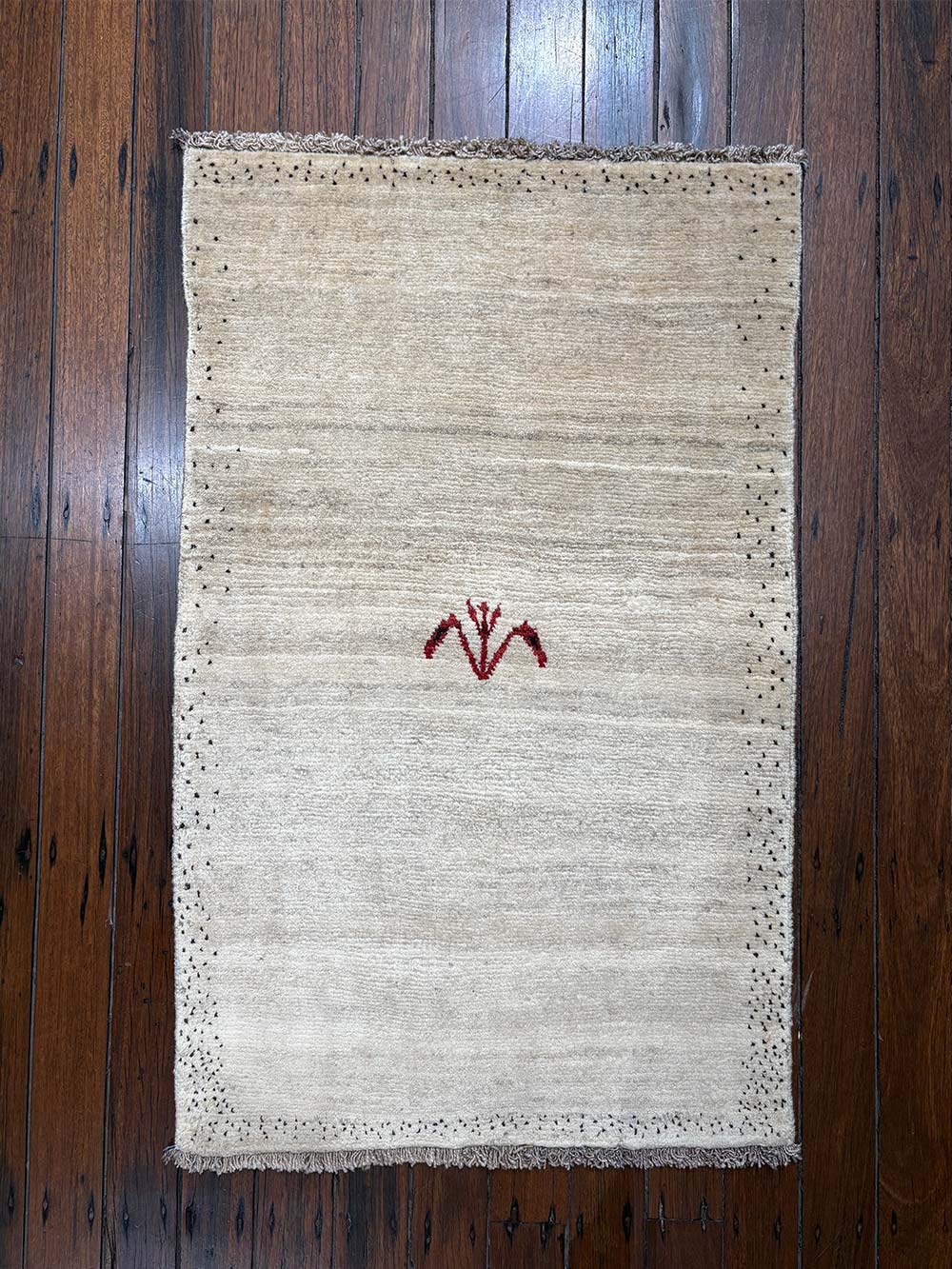 Nomadic Gabbeh Persian Rug
